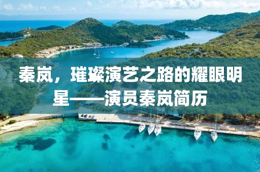 秦岚，璀璨演艺之路的耀眼明星——演员秦岚简历