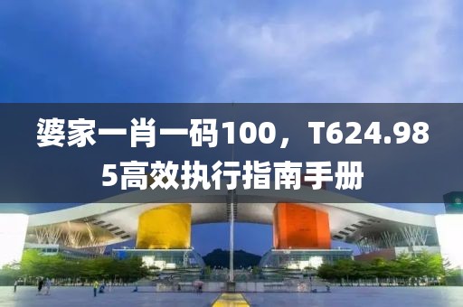婆家一肖一码100，T624.985高效执行指南手册