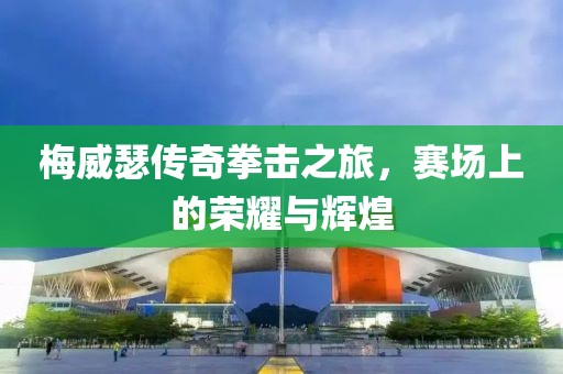 梅威瑟传奇拳击之旅，赛场上的荣耀与辉煌