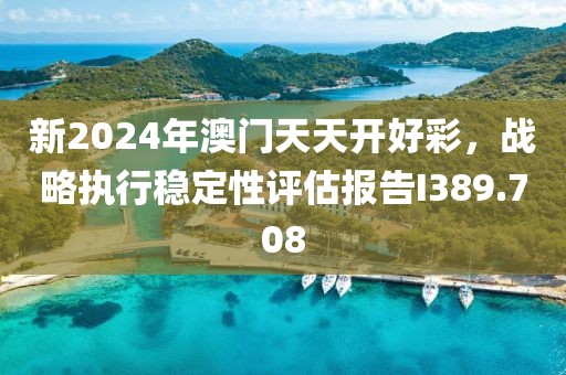新2024年澳门天天开好彩，战略执行稳定性评估报告I389.708