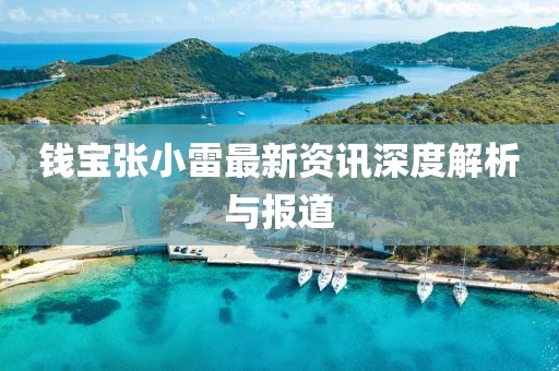 钱宝张小雷最新资讯深度解析与报道