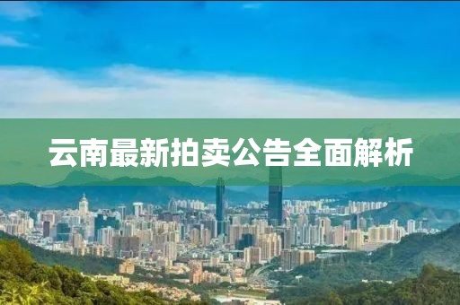 云南最新拍卖公告全面解析
