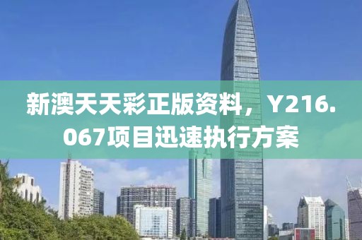 新澳天天彩正版资料，Y216.067项目迅速执行方案