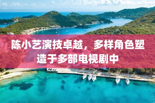 陈小艺演技卓越，多样角色塑造于多部电视剧中