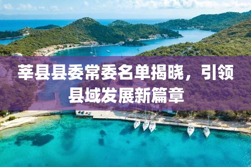 莘县县委常委名单揭晓，引领县域发展新篇章