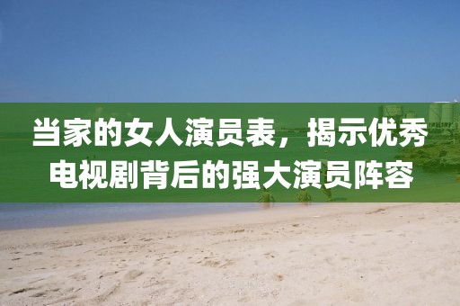 当家的女人演员表，揭示优秀电视剧背后的强大演员阵容