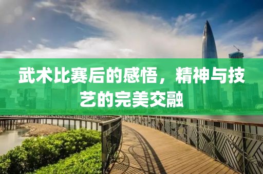 武术比赛后的感悟，精神与技艺的完美交融