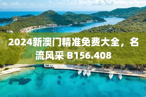 2024新澳门精准免费大全，名流风采 B156.408