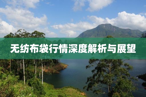 无纺布袋行情深度解析与展望