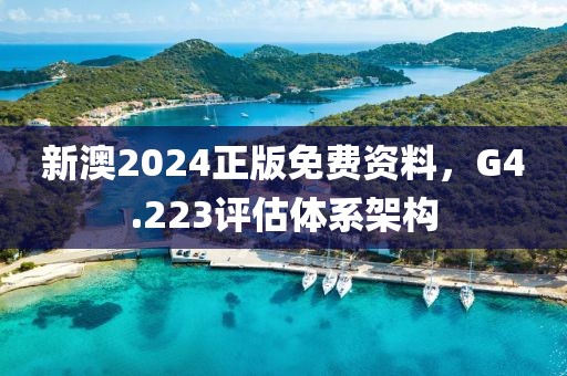 新澳2024正版免费资料，G4.223评估体系架构