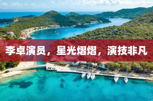 李卓演员，星光熠熠，演技非凡
