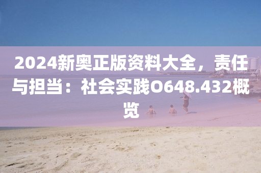 2024新奥正版资料大全，责任与担当：社会实践O648.432概览
