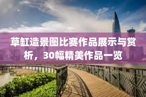 草缸造景图比赛作品展示与赏析，30幅精美作品一览