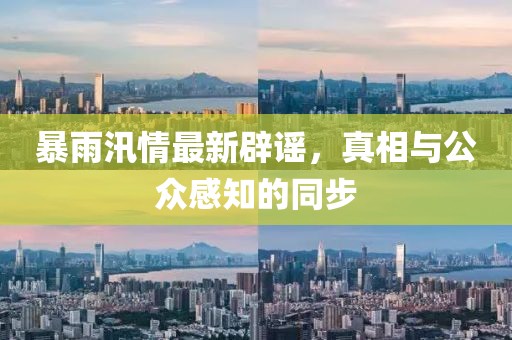 暴雨汛情最新辟谣，真相与公众感知的同步
