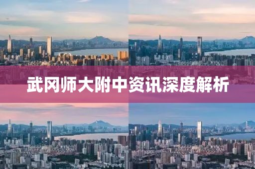 武冈师大附中资讯深度解析