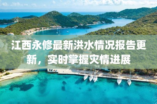 江西永修最新洪水情况报告更新，实时掌握灾情进展