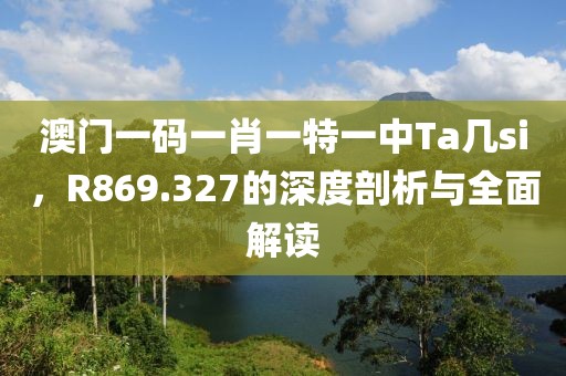 澳门一码一肖一特一中Ta几si，R869.327的深度剖析与全面解读