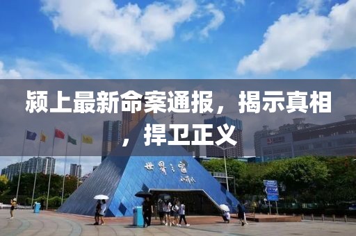 颍上最新命案通报，揭示真相，捍卫正义