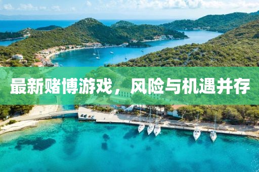最新赌博游戏，风险与机遇并存