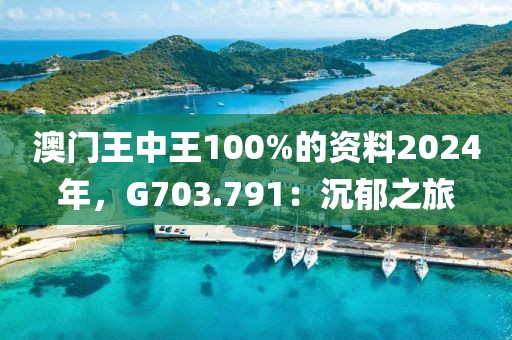 澳门王中王100%的资料2024年，G703.791：沉郁之旅