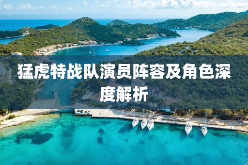 猛虎特战队演员阵容及角色深度解析