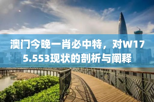 澳门今晚一肖必中特，对W175.553现状的剖析与阐释