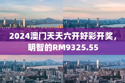 2024澳门天天六开好彩开奖，明智的RM9325.55