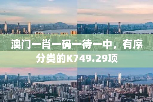 澳门一肖一码一待一中，有序分类的K749.29项