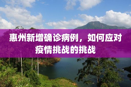 惠州新增确诊病例，如何应对疫情挑战的挑战