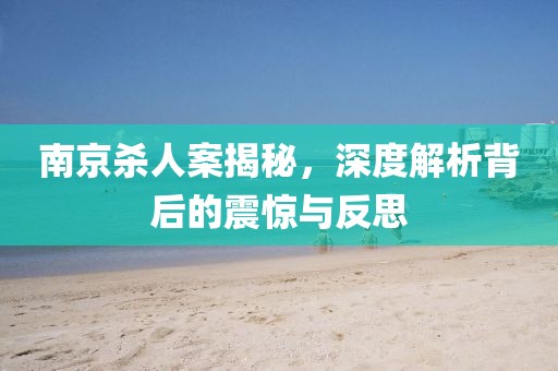 南京杀人案揭秘，深度解析背后的震惊与反思