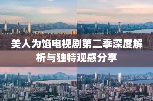 美人为馅电视剧第二季深度解析与独特观感分享