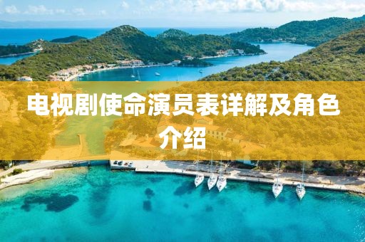 电视剧使命演员表详解及角色介绍