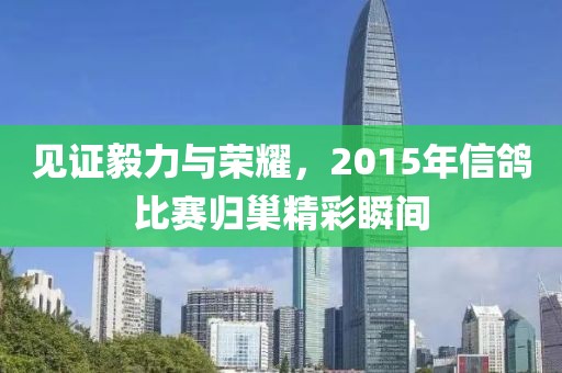 见证毅力与荣耀，2015年信鸽比赛归巢精彩瞬间