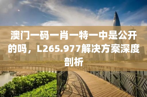 澳门一码一肖一特一中是公开的吗，L265.977解决方案深度剖析