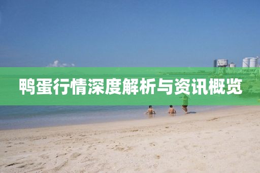 鸭蛋行情深度解析与资讯概览