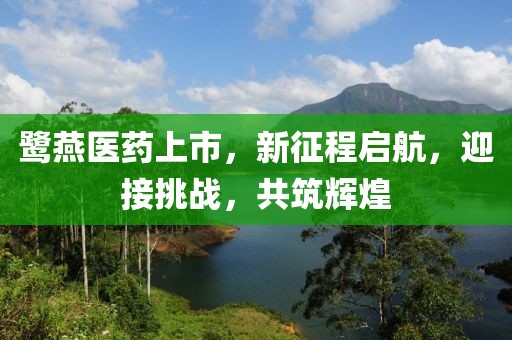 鹭燕医药上市，新征程启航，迎接挑战，共筑辉煌