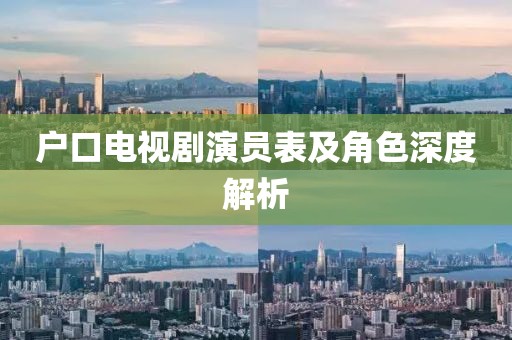 户口电视剧演员表及角色深度解析