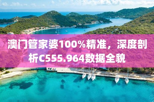 澳门管家婆100%精准，深度剖析C555.964数据全貌