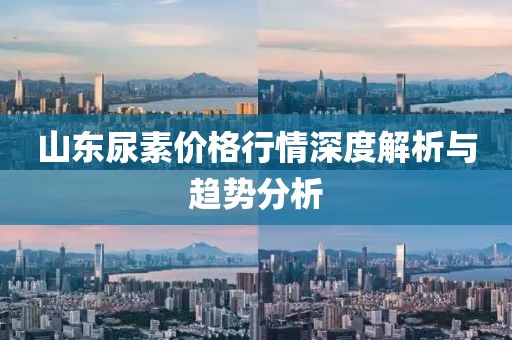 山东尿素价格行情深度解析与趋势分析