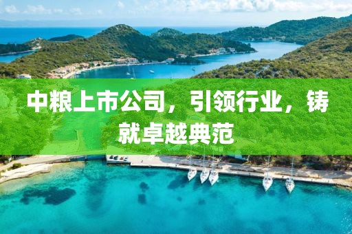 中粮上市公司，引领行业，铸就卓越典范