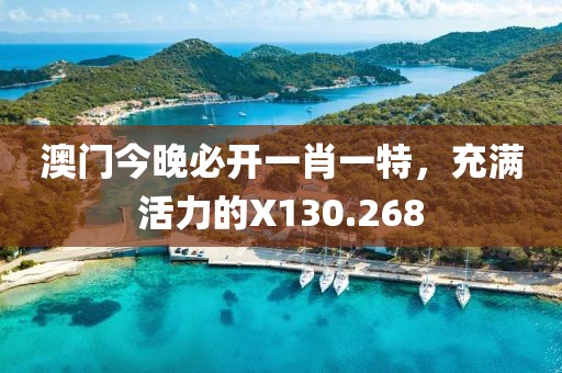 澳门今晚必开一肖一特，充满活力的X130.268