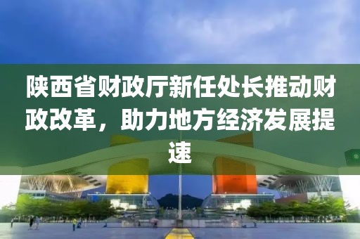 陕西省财政厅新任处长推动财政改革，助力地方经济发展提速