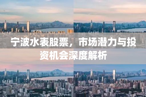 宁波水表股票，市场潜力与投资机会深度解析