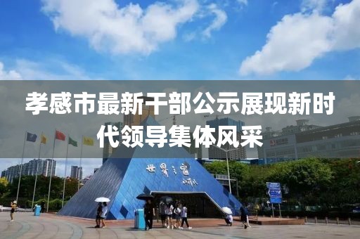 孝感市最新干部公示展现新时代领导集体风采