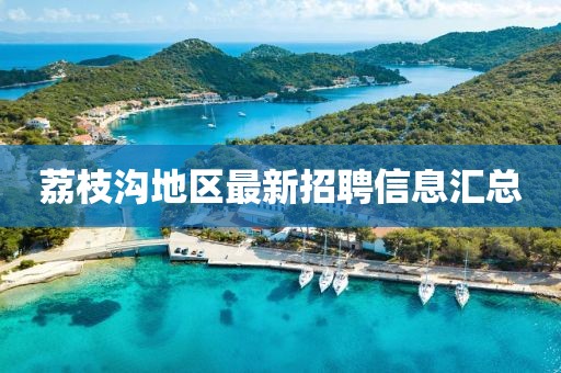 荔枝沟地区最新招聘信息汇总