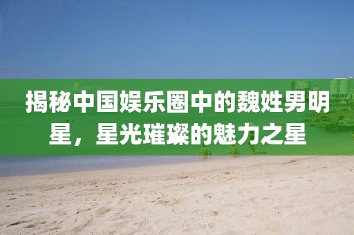 揭秘中国娱乐圈中的魏姓男明星，星光璀璨的魅力之星