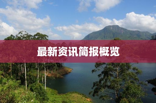 最新资讯简报概览