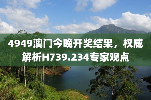 4949澳门今晚开奖结果，权威解析H739.234专家观点