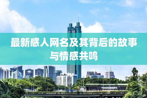 最新感人网名及其背后的故事与情感共鸣