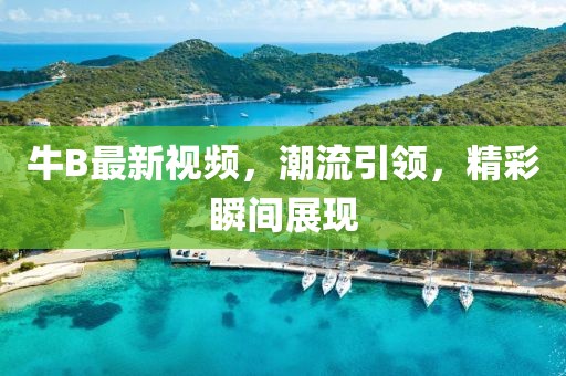 牛B最新视频，潮流引领，精彩瞬间展现